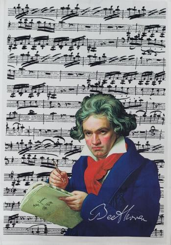 Komponisten-Geschirrtuch mit Mozart oder Beethoven