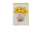 Doppelkarte, Notenstrauß, verschiedene Blumen - Karte: Sonnenblumen